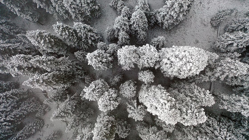 Ilgaz Dağı'nda kar ve sis etkili oldu