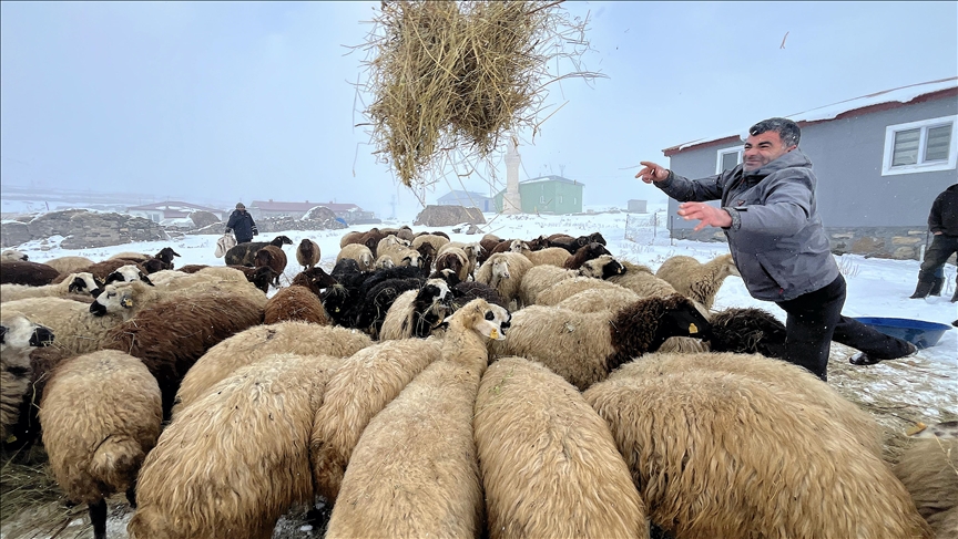 Li Qersê karûbarên zivistanê yê ajeldaran dest pê kir