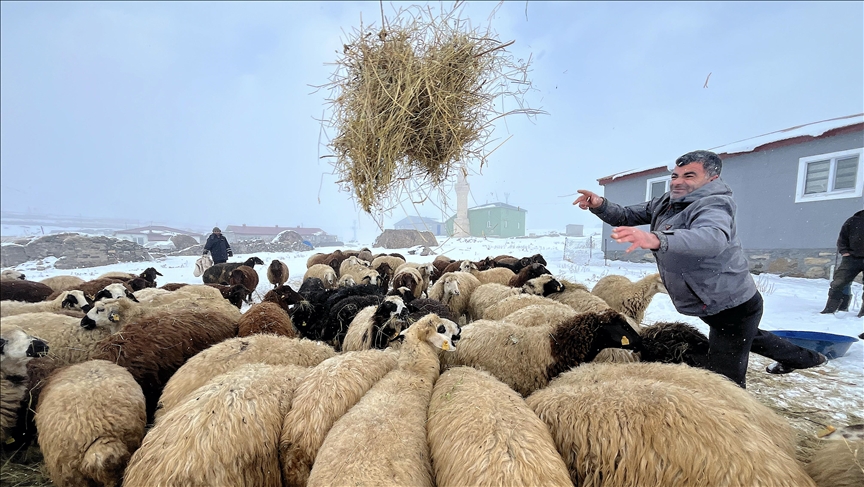 Kars'ta besicilerin zorlu kış mesaisi başladı 