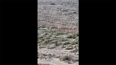 Tarım ve Orman Bakanlığından Ağyatan Lagünü'nde kumul erozyonuyla mücadele