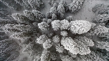 Ilgaz Dağı'nda kar ve sis etkili oldu