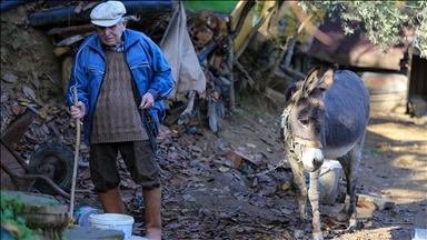 Slijepi djed Raif već 24 godine se kreće zahvaljujući svom magarcu
