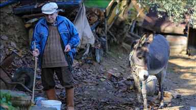 Gjyshi i verbër ka 24 vjet që udhëton me gomarin e tij unik