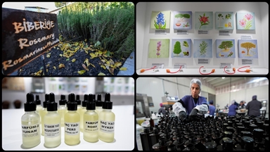 Anadolu'nun güzellik tarifleri Türk kozmetik sektörüne yeni fırsatlar sunuyor