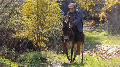 Слепиот дедо Раиф веќе 24 години го наоѓа патот благодарение на своето магаре