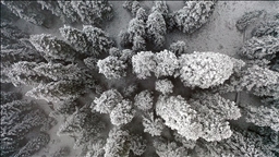 Ilgaz Dağı'nda kar ve sis etkili oldu