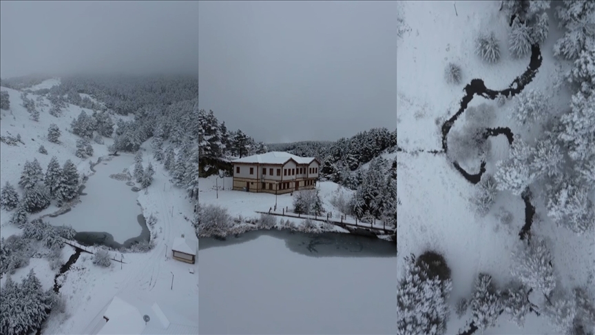 Erzincan'daki Dumanlı Tabiat Parkı beyaza büründü