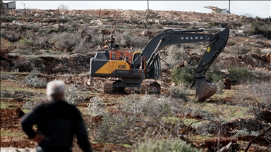 Cisjordanie: des colons israéliens illégaux détruisent des dizaines d’oliviers près de Jérusalem-Est occupée