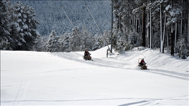 Li Sariqamîşê sezona nû ya kaşûnê li ber vebûnê ye