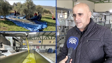 Muhtarın devlet desteğiyle kurduğu zeytinyağı üretim tesisi mahallelinin geçim kaynağı oldu