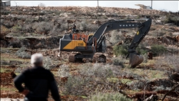 Cisjordanie: des colons israéliens illégaux détruisent des dizaines d’oliviers près de Jérusalem-Est occupée