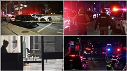 Стрельба в Брауновском университете США: два человека погибли, восемь ранены