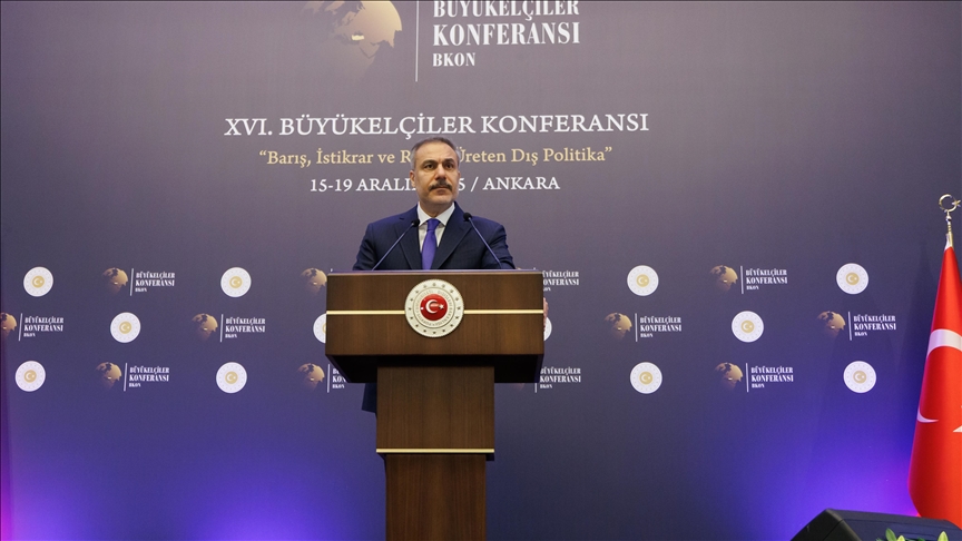 Turkish foreign minister discusses Gaza Peace Plan with Arab counterparts