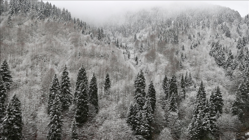 Birçok ilde kar ve soğuk hava etkili oldu
