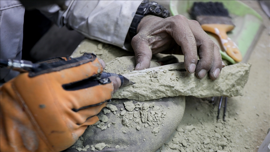 Little Foot fossil may represent previously unknown human ancestor species