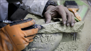 Little Foot fossil may represent previously unknown human ancestor species