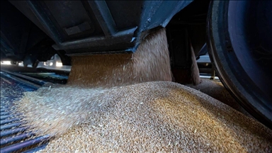 В Армении ожидают партии зерновых через Азербайджан и Грузию