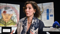 EU commissioner reiterates need for humanitarian aid to flow rapidly into Gaza