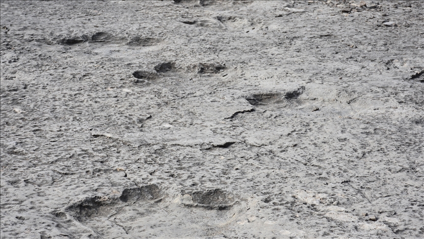 İtalya'da 200 milyon yıl öncesinden kaldığı düşünülen binlerce dinozor ayak izi keşfedildi