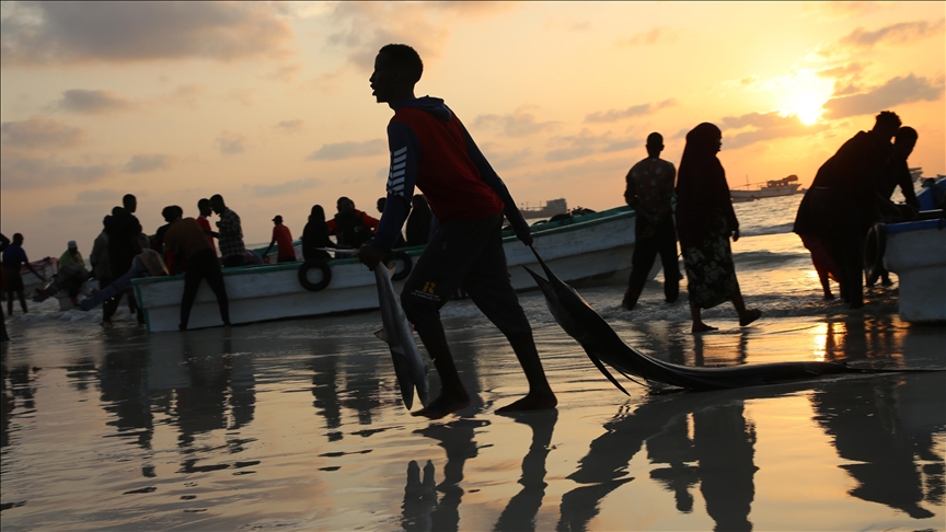 Плажата Лидо, средиште на трговија со риба во сомалиската престолнина Могадишу
