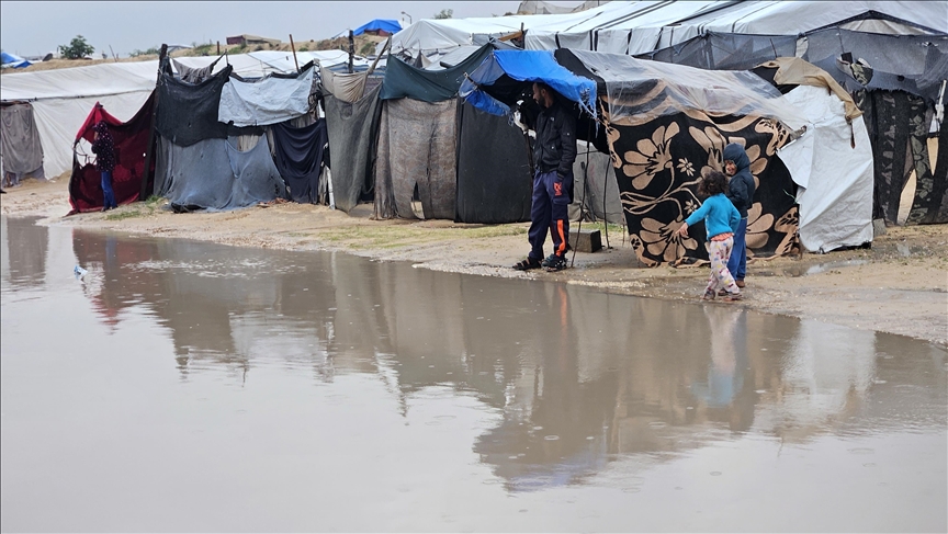 أرامل غزة.. حياة قاسية في خيام بالية جراء حرب الإبادة
