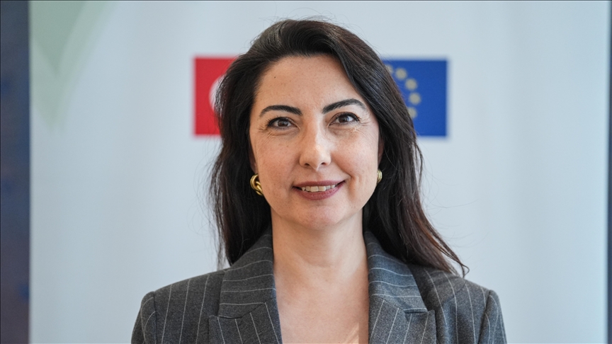 Türkiye takes leadership role in regional climate action: UNDP official