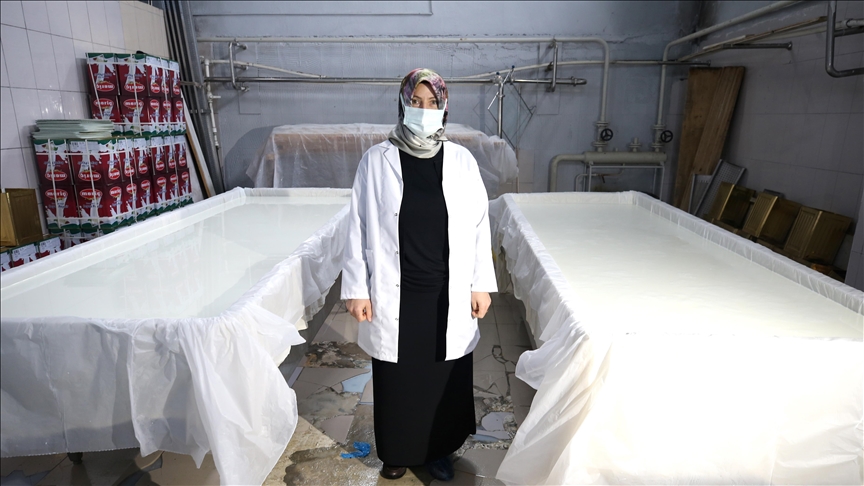 Jineke pêşengkar ji Mûşê li tesîsa ku vekiriye rojane 10 ton şîr hildiberîne