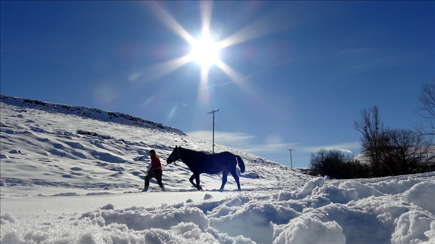 Li Qersê heywandar di vê sermaya ku binê sifirê 10 pileyan da heywanên xwe xwedî dikin