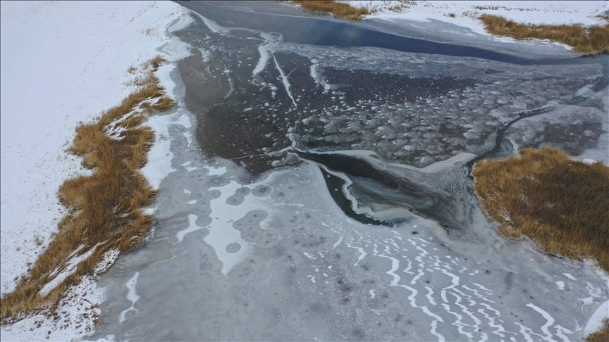 Rûberê Gola Lavaşê ya li Qersê ya tescilkirî qerimî