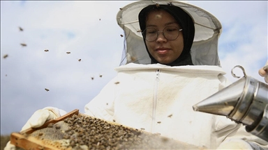 Seydikemerli genç, baba mesleği arıcılığı sürdürmek için çalışıyor