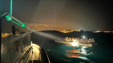 Береговая охрана Турции спасла 68 нелегальных мигрантов у берегов Измира 