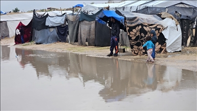 أرامل غزة.. حياة قاسية في خيام بالية جراء حرب الإبادة