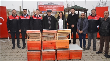 Li Mûşê 1000 kewar li mêşvanan hatin belavkirin