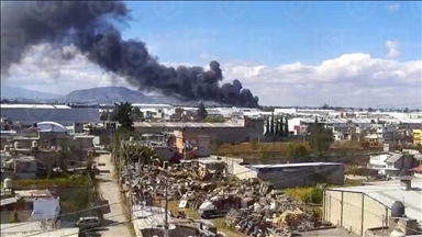 В Мексике разбился легкомоторный самолет: не менее 7 погибших