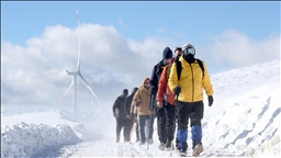 Rotayên meşê yên li Mûşê ji bo xizmeta geştiyariyê têne dijîtalîzekirin 