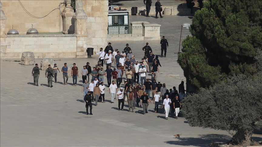 251 مستوطنا يقتحمون المسجد الأقصى بحراسة الشرطة الإسرائيلية