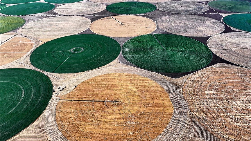 Lisanslı depoculukla bazı tarım ürünlerinin azami depolama süreleri uzatıldı