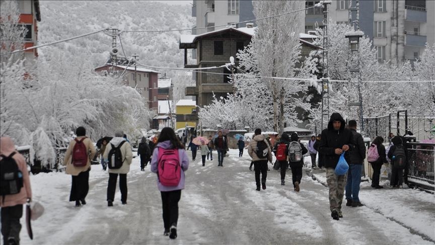 Li Navenda Bidlîsê û navçeya wê ya Norşînê rojek navber dan perwerdeyê