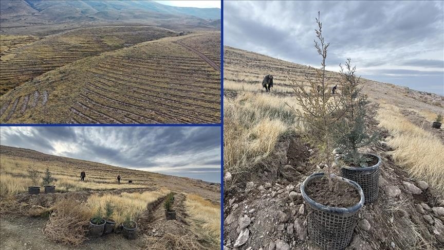 Li Îdira li Tirkiyeyê hewaya herî qirêj ya wê ye, ji bo zêdekirina asta oksîjenê dar tên çikandin