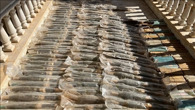 الداخلية السورية تعلن إحباط تهريب شحنة قذائف إلى لبنان