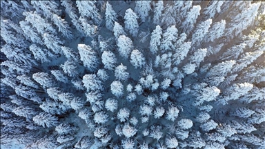 Dîmenên Çiyayê Kureyê ya ku bi berfê spî xemiliye bi dronê hat kişandin