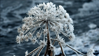سەرمایەکی  توند باڵی بەسەر ئەرزەڕۆم، ئەردەخان و قەرسدا کێشاوە