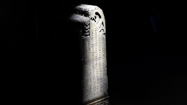 Dünya Türk Dili Ailesi Günü ve Türk dünyası işbirliğinin geleceği