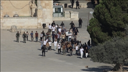 251 مستوطنا يقتحمون المسجد الأقصى بحراسة الشرطة الإسرائيلية