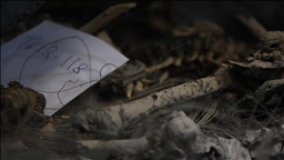 Li Sûriyeyê li navendeke ewlehiyê ya berê komegorek hat dîtin