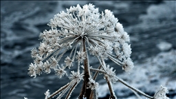 سەرمایەکی  توند باڵی بەسەر ئەرزەڕۆم، ئەردەخان و قەرسدا کێشاوە