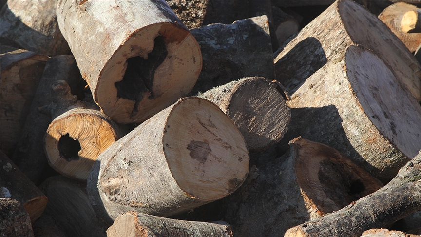 Ormanlar kaçak ağaç kesimine karşı teknolojik imkanlarla 7 gün 24 saat korunuyor