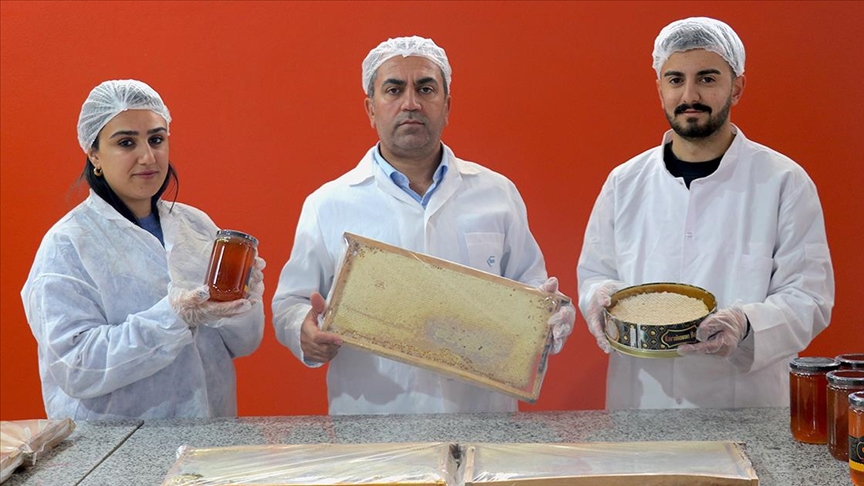 Vanlı arıcı Dubai'ye 16,5 ton petek bal gönderdi