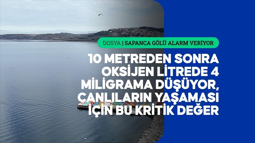 Sapanca Gölü'ndeki kuraklık suyun sadece miktarını değil kalitesini de düşürüyor