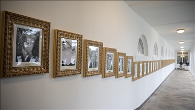 Trump adds partisan plaques to White House Presidential Walk of Fame